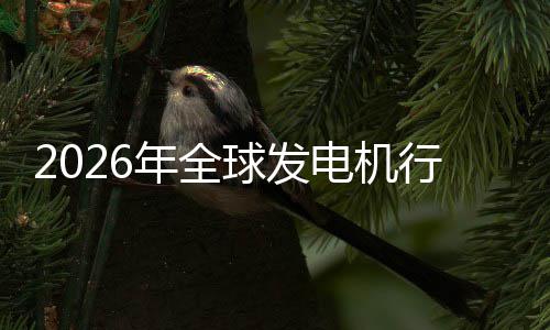 名业国领球发电机规模行业先企及排年全内外市场市场份额