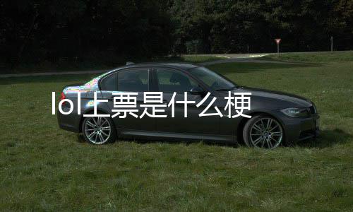 梗票是l上什么